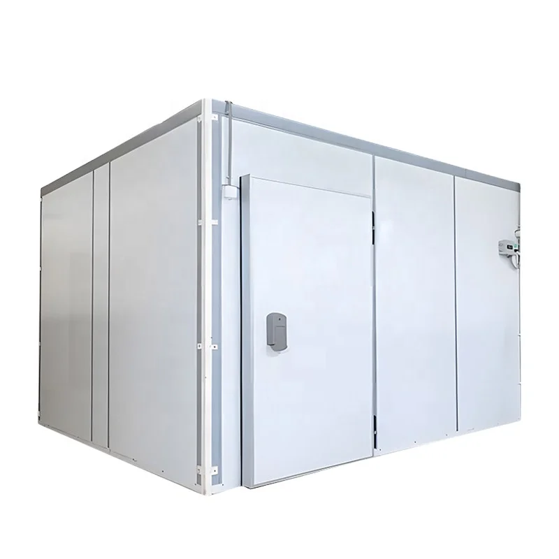 Freezer room refrigeration mini cold storage equipment for meat
