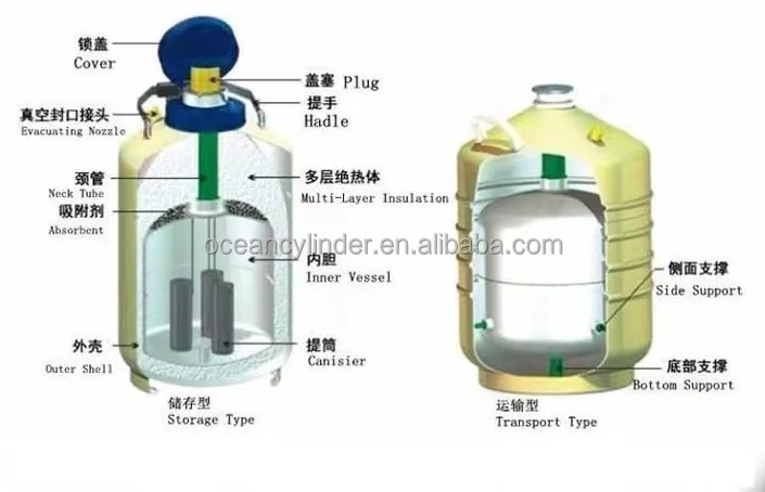 Liquid Nitrogen Tanks (YDS TYPE) Cryogenic Storage Container Stainless Steel Cryogenic Liquid Storage Tank