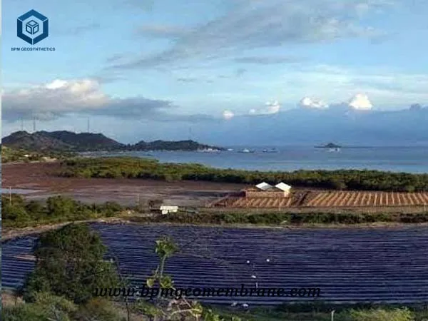 0.9mm HDPE Pond Liner for  India Prawn Fish Farm Pond  Project