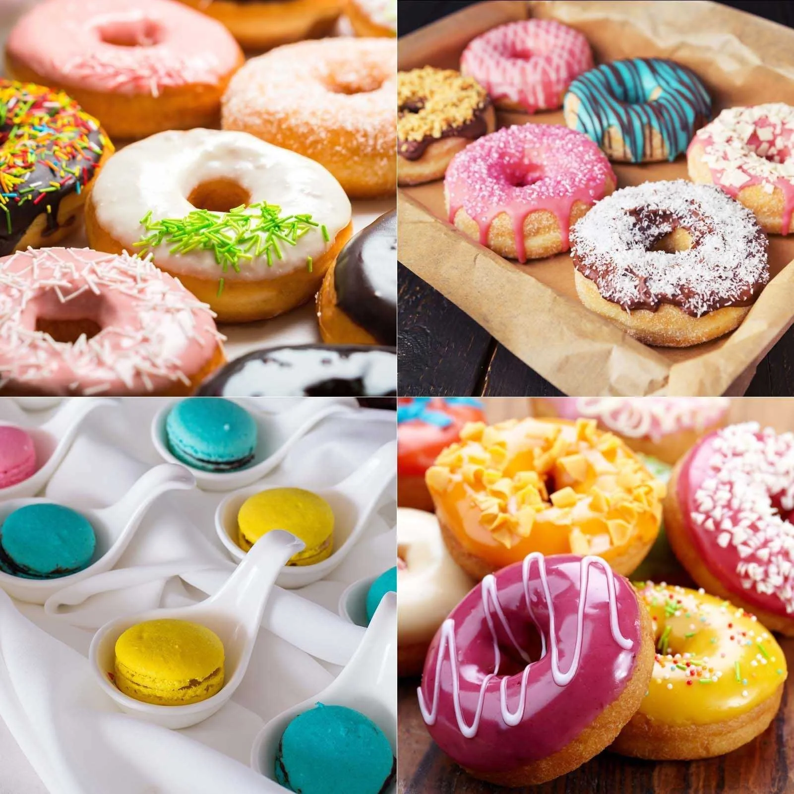 430 Stainless Steel Cake And Biscuit Mold Doughnut Cutting Mold With Soft Handle Circular Kitchen Baking Press