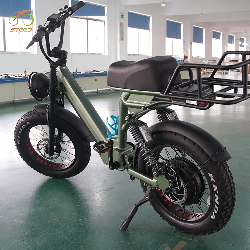 Steed 750w 1000w 1500w 3000w hybrid electric bicycle double baterie hitway electric folding bike