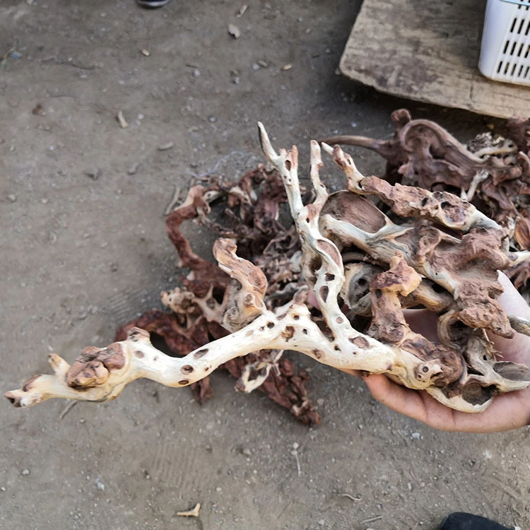 
Wholesale aquarium supplies aquarium landscape decoration fish and shrimp aquaculture room driftwood 