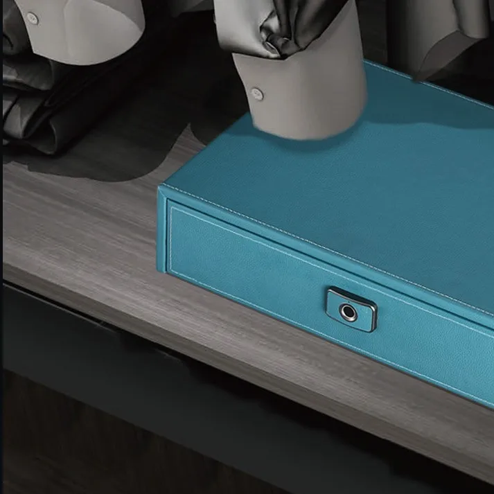 DSTPEL Wholesale wardrobe fittings fingerprint safety deposit Leather Drawer Safe box