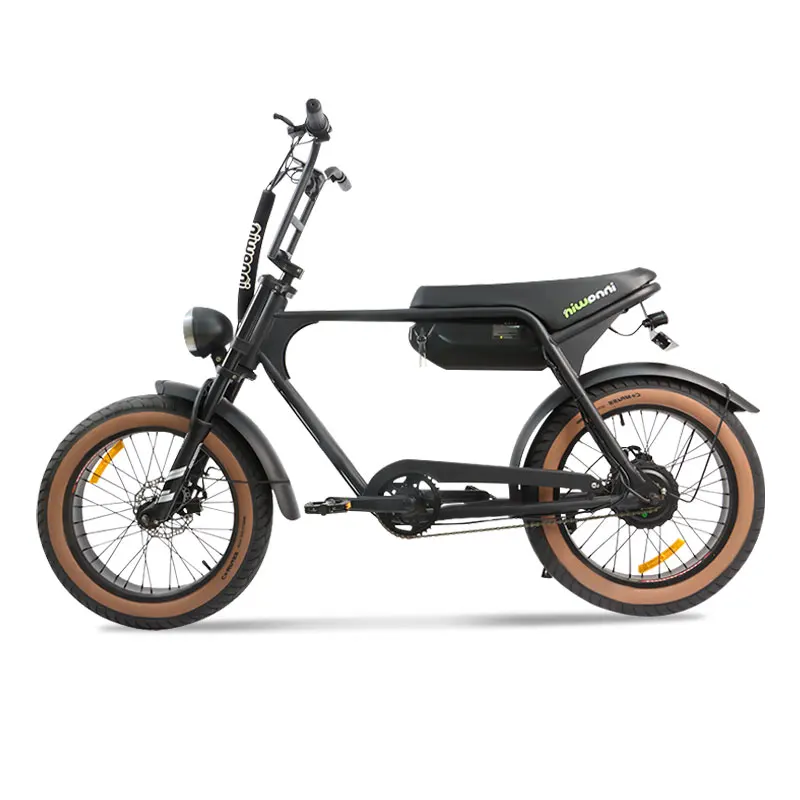 Mountain Dirt Electric Bicycle for Adults Longwise EB2 Fat Tire Mechanical Brakes E-bike