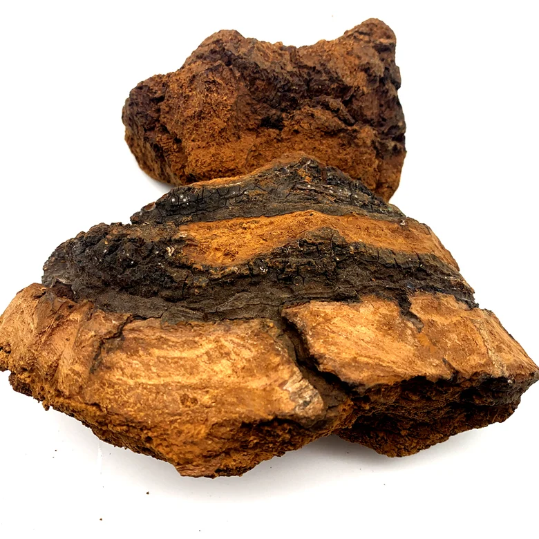 
100% Natural Wild Siberian Dried chaga mushroom chunks / Chaga Tea 