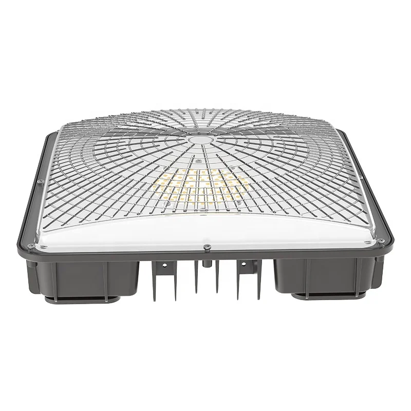 Наружная AC100-277V/50-60 Гц 40 Вт 60 Вт 80 Вт 100 Вт 120 Вт Масляная Станция освещение ETL навес