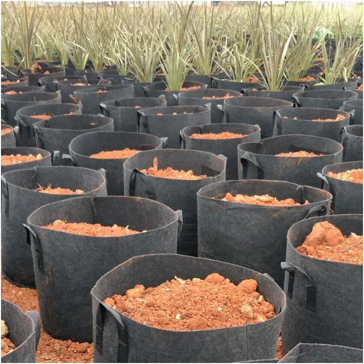 Non-woven fabric felt grow bags planting bags