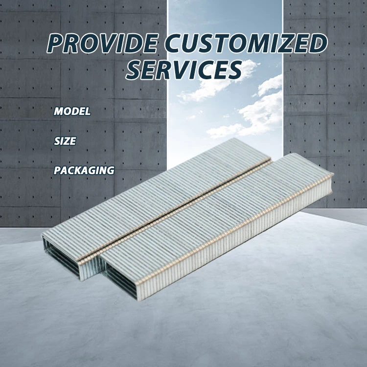 Staples Manufacturer OEM ODM Fasteners U Pin Pneumatic Nail Iron Galvanized 1010j Staples 10mm