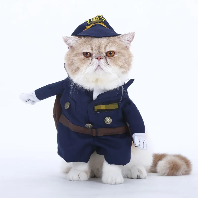 Pet transformation clothes costume funny cat clothes Christmas Halloween funny Pretty costume