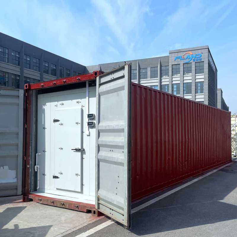 20FT 40FT Freezer Container, Used Reefer Shipping Containers Available
