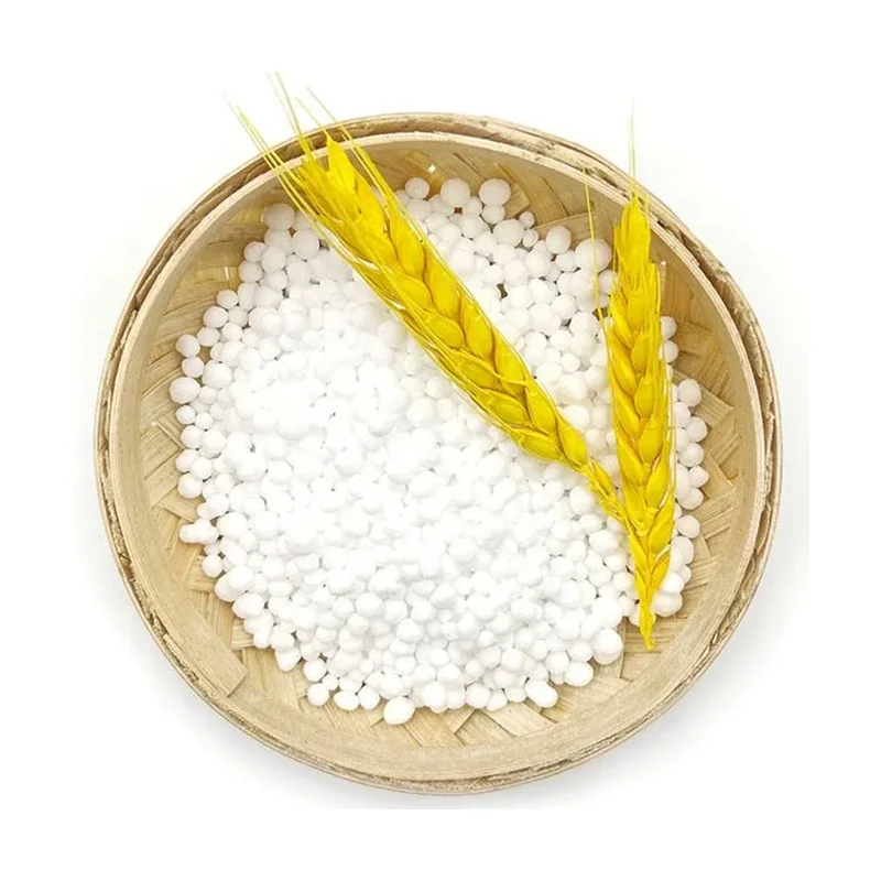 Organic Nitrogen 46N Sulfur Coated Granules 25kg Bag Slow Release Urea N46 Enhances Rice Fertility Crystal Prilled Agriculture