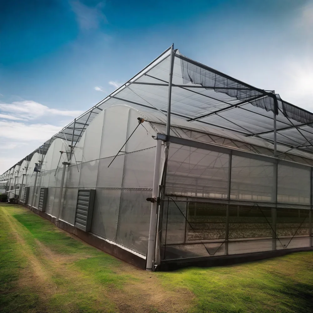 Galvanized Steel Frame  Multi-span PE Film Greenhouse For Agriculture Low Cost Tunnel greenhouse For Flowers plant