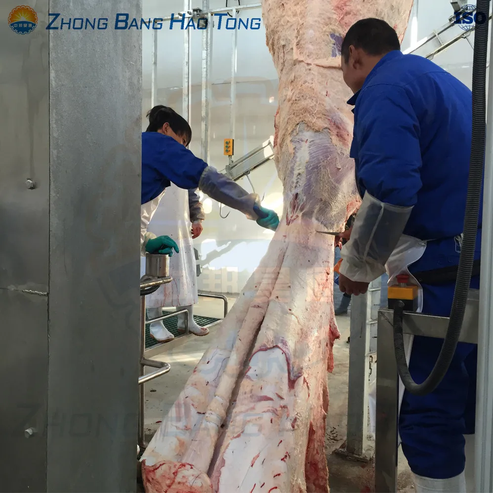 Cattle Abattoir Machine Hide Flaying Equipment For Cattle Slaughterhouse