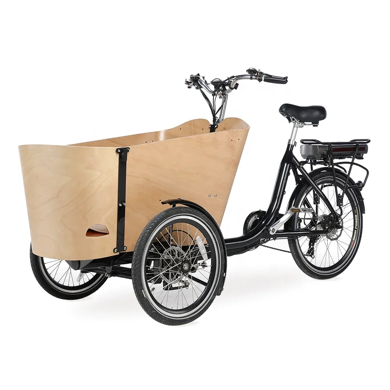 Pedal assist Electric Cargo Bike 3 Wheels Dutch bakfiets Adult Tricycle Family Bicycle Street Kids Scooter for Sale