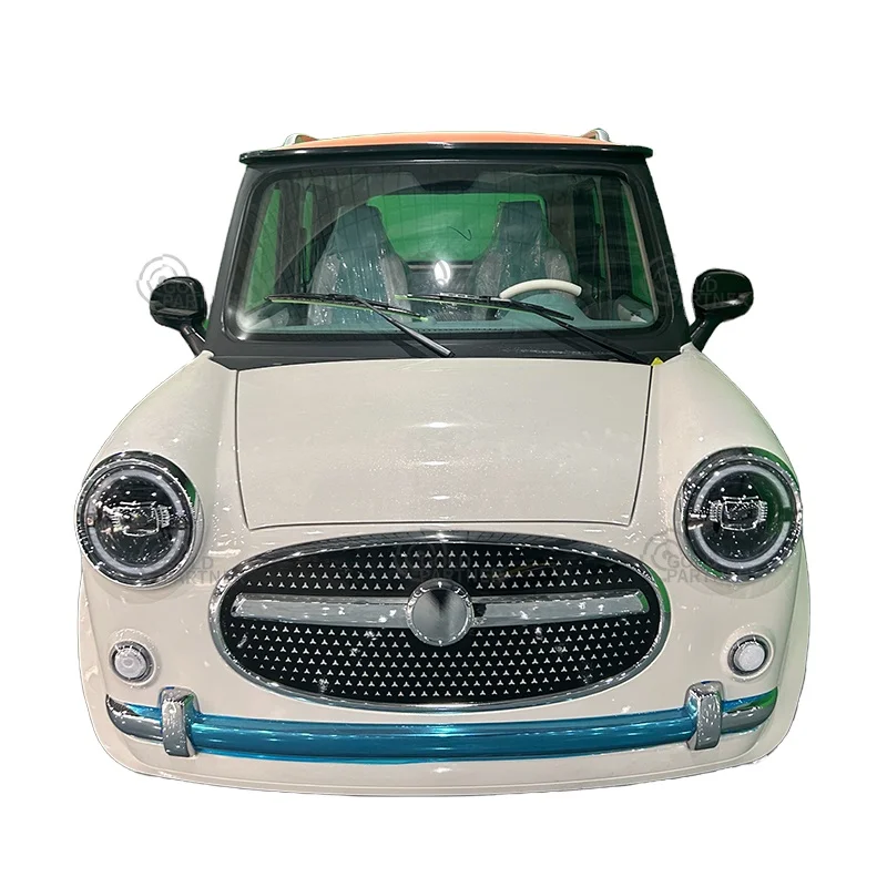 4 Seater Electric Car Adult Vehicles Without Battery 4 Wheels Enclosed Mini Ecar Electric Car For Adults mini car