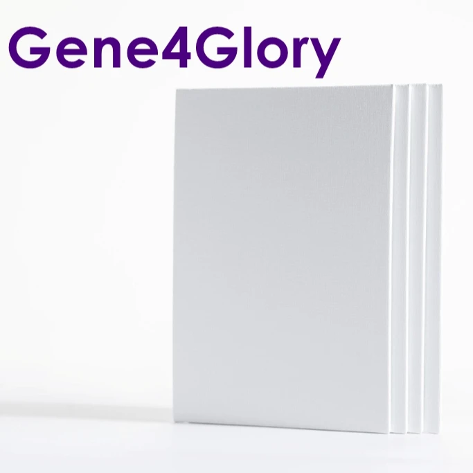 
Custom pre printed stretched wood canvas & painting set 