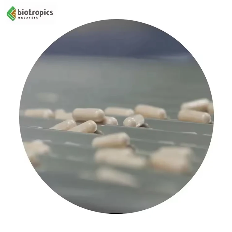 OEM Food Grade Tongkat Ali Capsules Dietary Supplement Tongkat Ali and Epimedium Capsules