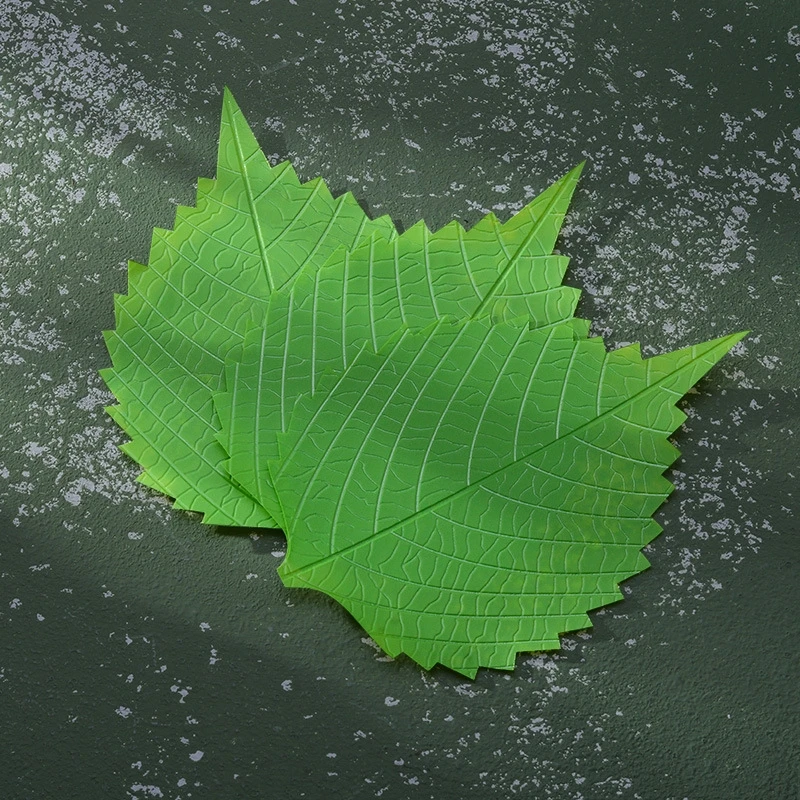 Estick Sushi Grass Divider Bento Box Food Divider Decoration Sushi Grass Baran Garnish 1000pcs  Leaf Japanese Plate Leaves