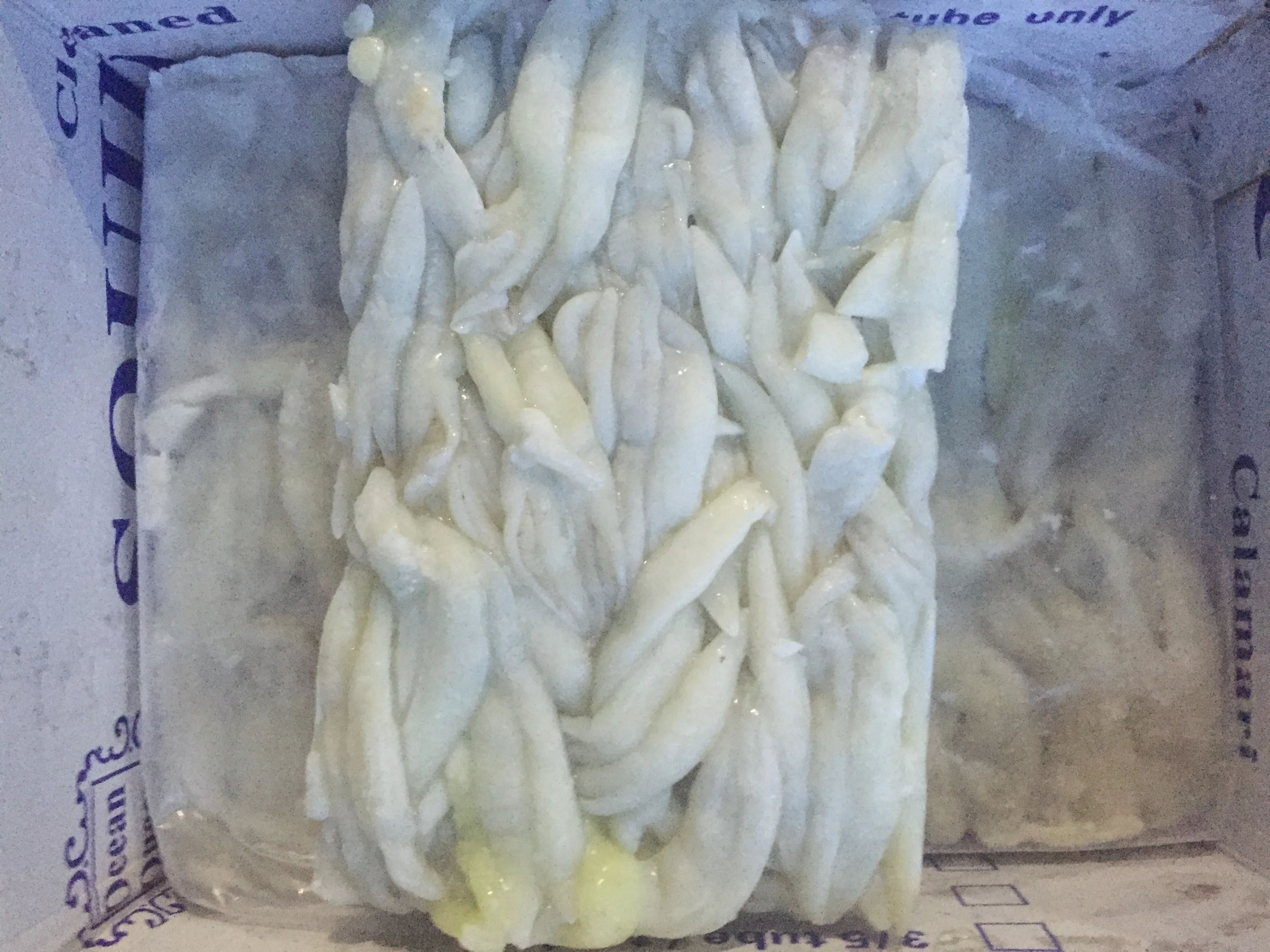 Fresh Frozen Peru squid guts