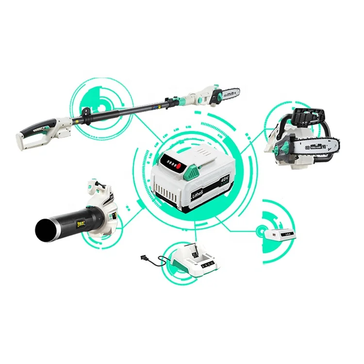 40V brushless motor Lightweight & Powerful with 2.5AH Battery and Charger Variable Speed garden leaf blower cordless