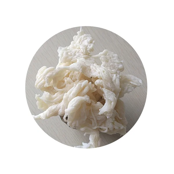 
Hypalon Elastomer CSM40 Chlorosulfonated Polyethylene Rubber For Wholesale 