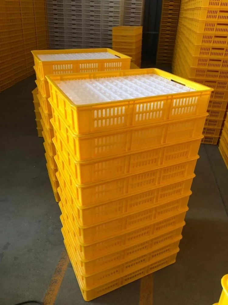 Yellow colour hatch box chick transport box for egg incubator use