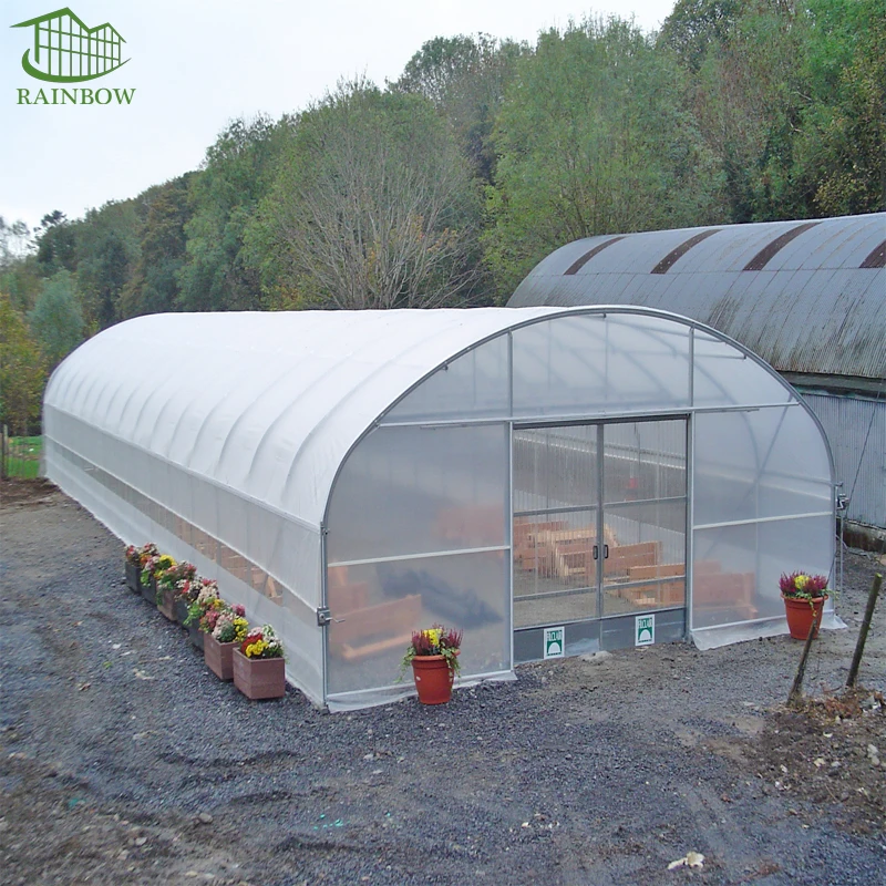 Small Tunnel Tomato Greenhouse with Irrigation System