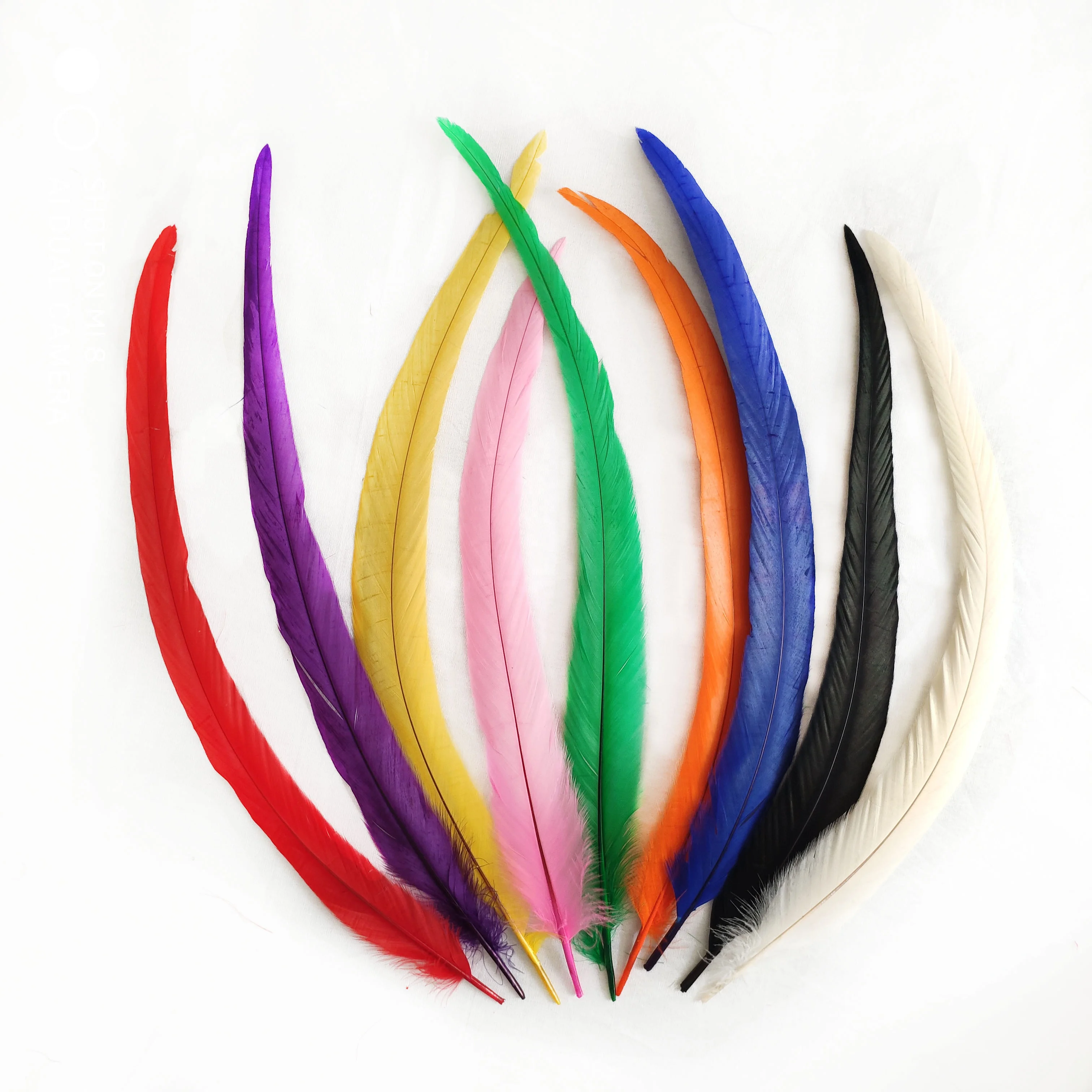 Wholesale cheap natural bleached dyed colorful 14-16 inch Rooster tail feather for carnival dress decoration