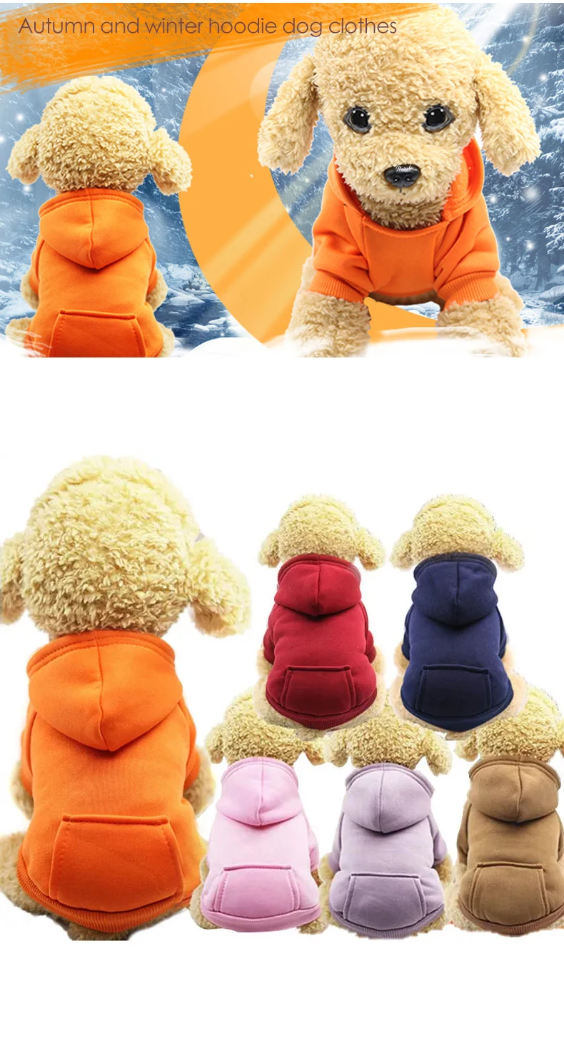 1dog clothes.jpg