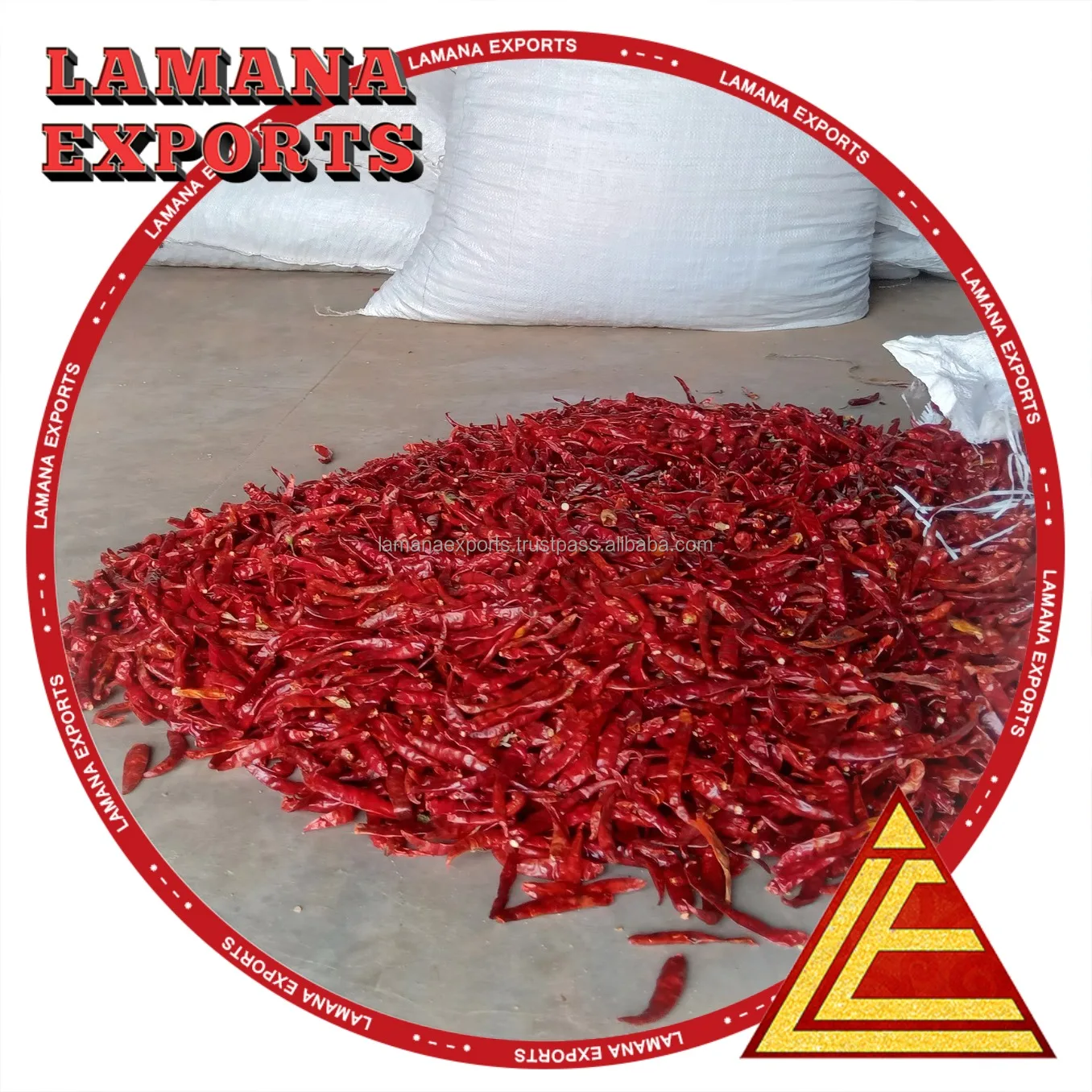 Guntur Super Dry Red Chilli S4 Sannam S334 Stemless India Chilli Premium Quality for China, Thailand