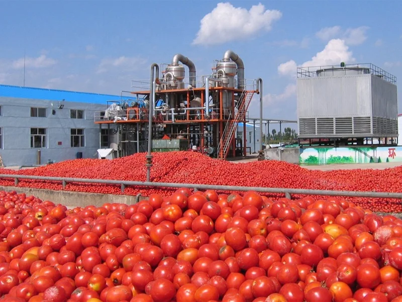 Automatic tomato paste production line industrial tomato paste processing plant equipment factory machines price cost for sale