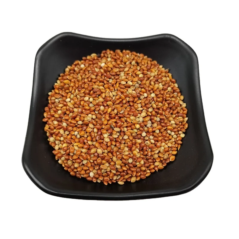 Factory Wholesale  Chinese New Crop Unhulled Red Broomcorn Millet Proso Millet Price Red Millet bird seed