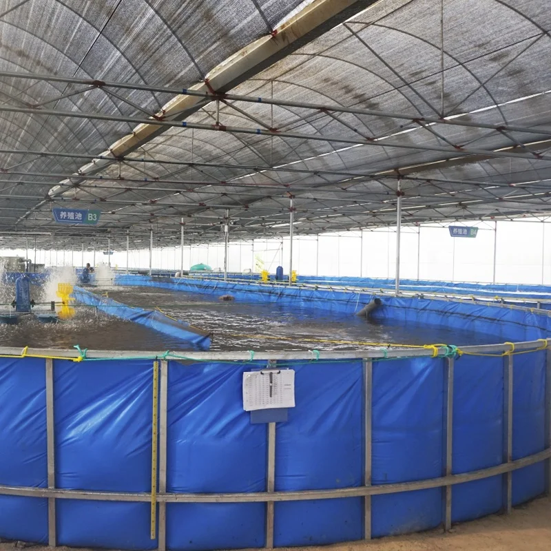 China manufacturer custom high quality commercial aquaculture indoor fish farming equipment