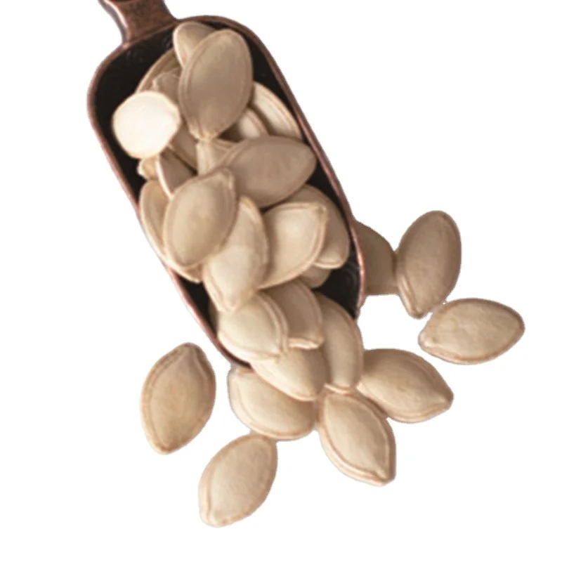 China Dried Gws Pumpkin Seed Kernels For Roasting