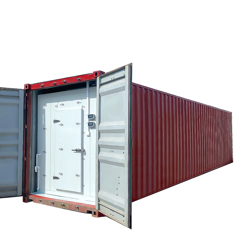 NEW Thermo King Freezer 40 Feet Length Refrigerated Container 40ft Reefer Container 40 ft Tianijin Qingdao