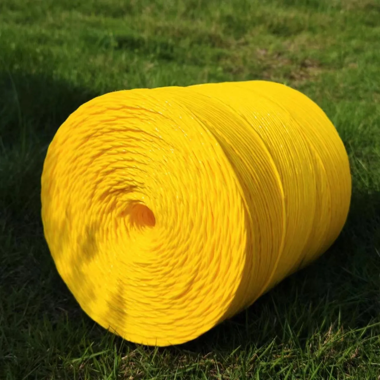 Garden Cucumber Twine for Crawling Plastic Plant Support Climbing
