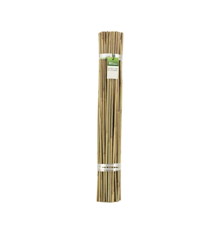 Green Wood Plant Stake Floral Picks Bamboo Sign Posting Climbing Plant for Indoor Gardening Plant Support