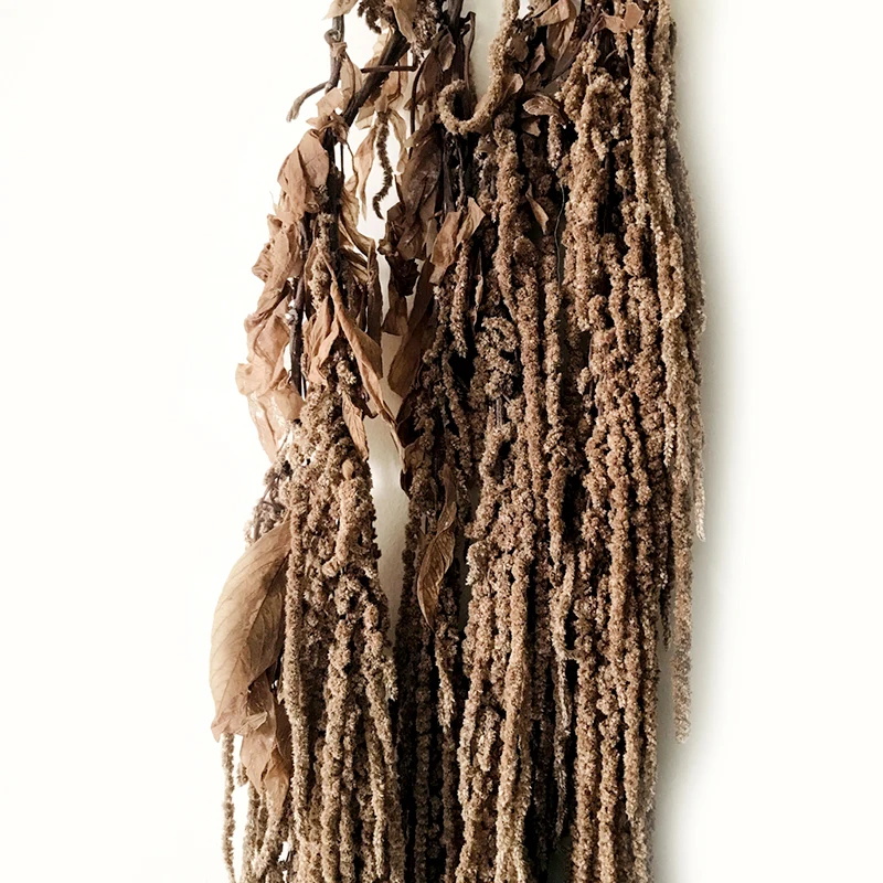 Home Wedding Decor Dried Flowers Decorative Amaranthus Real Natural Preserved Brown Hanging Amaranthus For Flower Arrangement