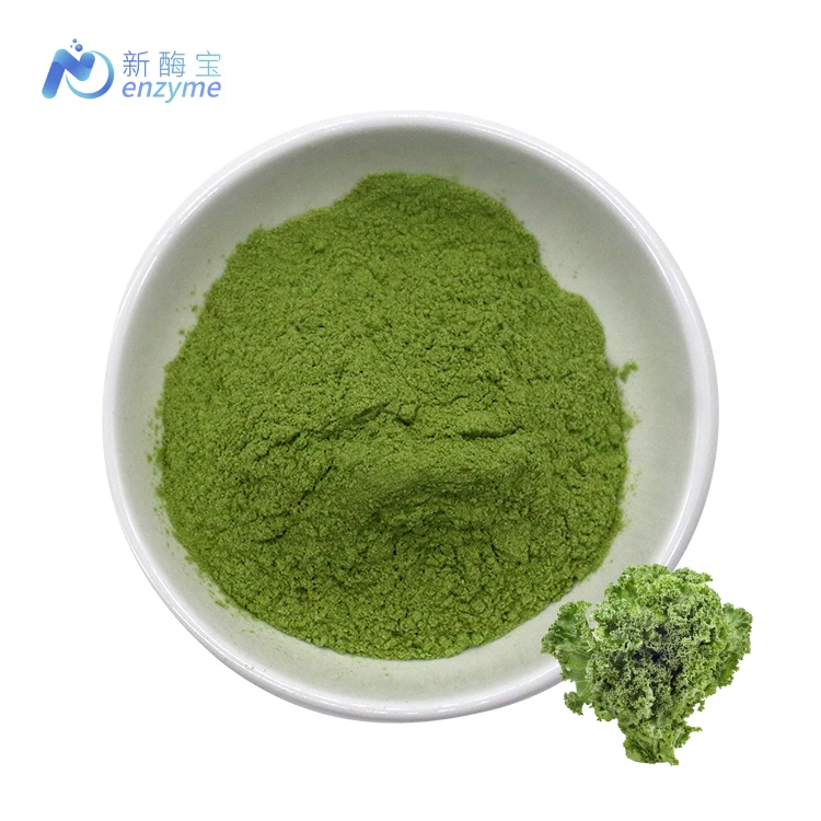 Natural Vegetable Powder Bulk Certified Organic Kale Powder with Rich Nutrition