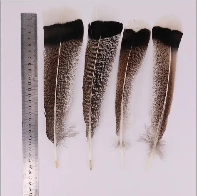 10-12inch Turkey Tail Feather Wholesale Feather Suppliers Natural pheasant feather