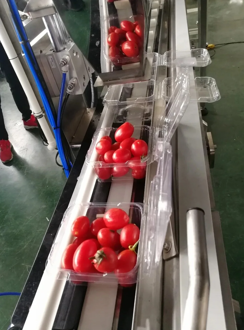 Automatic Multihead Weigher Weighing Sealing Cherry Plum Packaging Machine Plastic Box Tray Filling Line