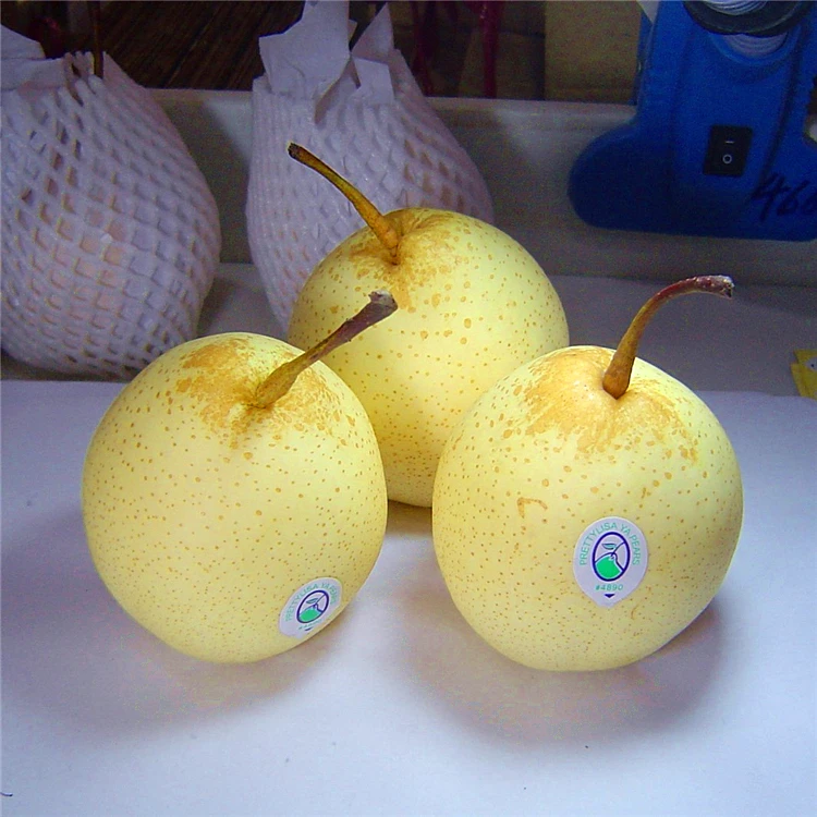  Fresh Ya Pears/Ya lie новый урожай груши сладкие здоровые свежие фрукты оптовая