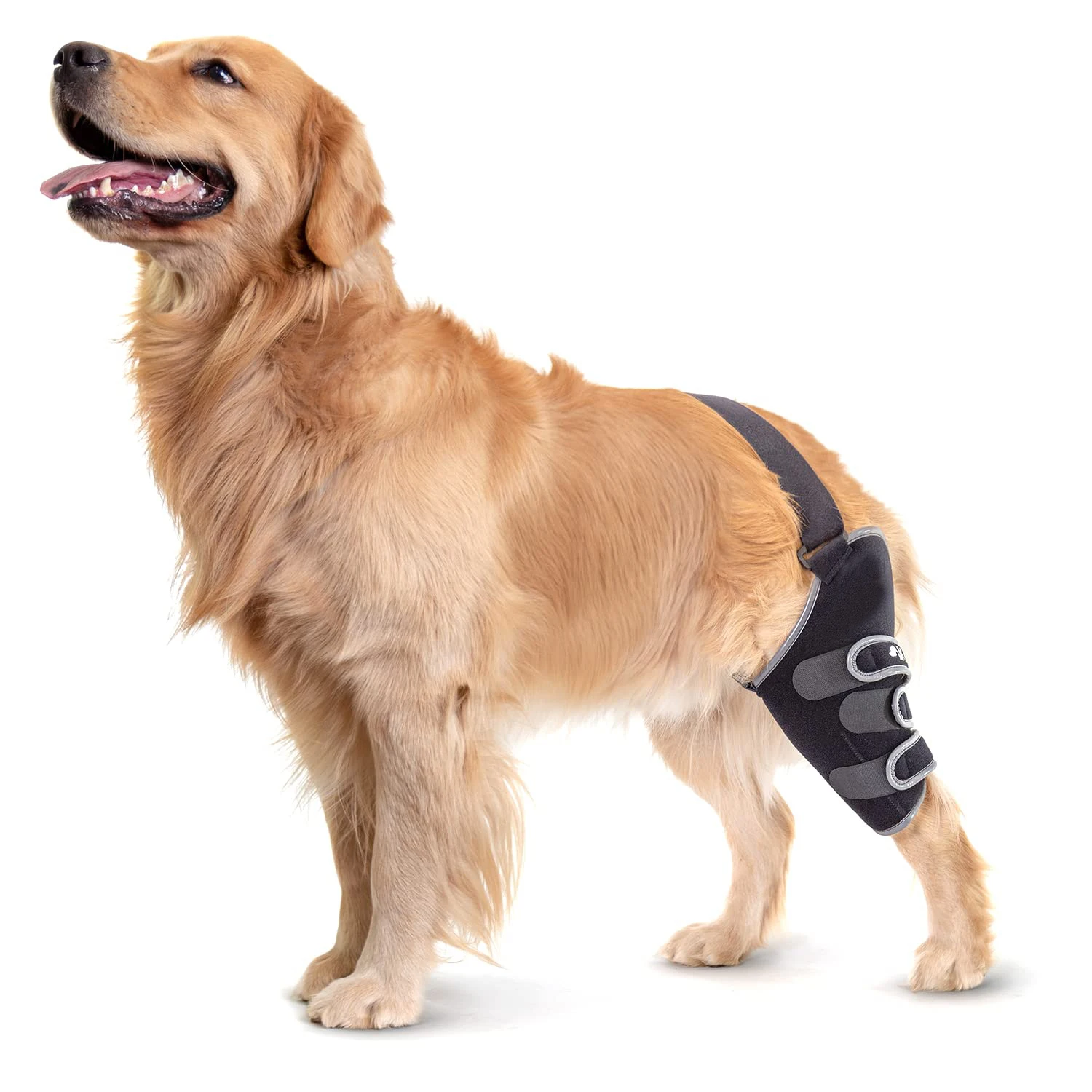 Sport Agile CCL Brace  Knee Support for Dogs Soft, Breathable Compression Wrap Helps Reduce Joint Inflammation