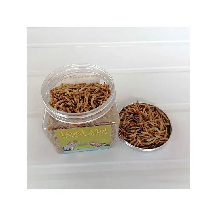 
2021 новый дизайн высокого питания высокого белка сушеные оптом mealworms оптом 