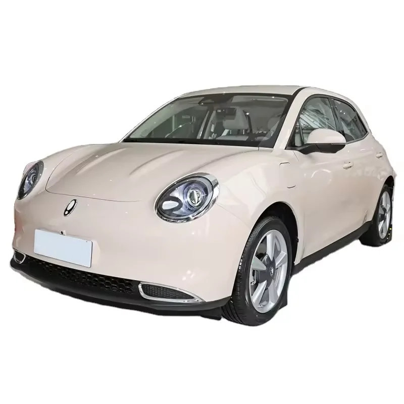 2024 TOPSUN Mini Electric Car Good Cat 401 Kilometers Euler Haomao Ora Ola Series New Energy Vehicle