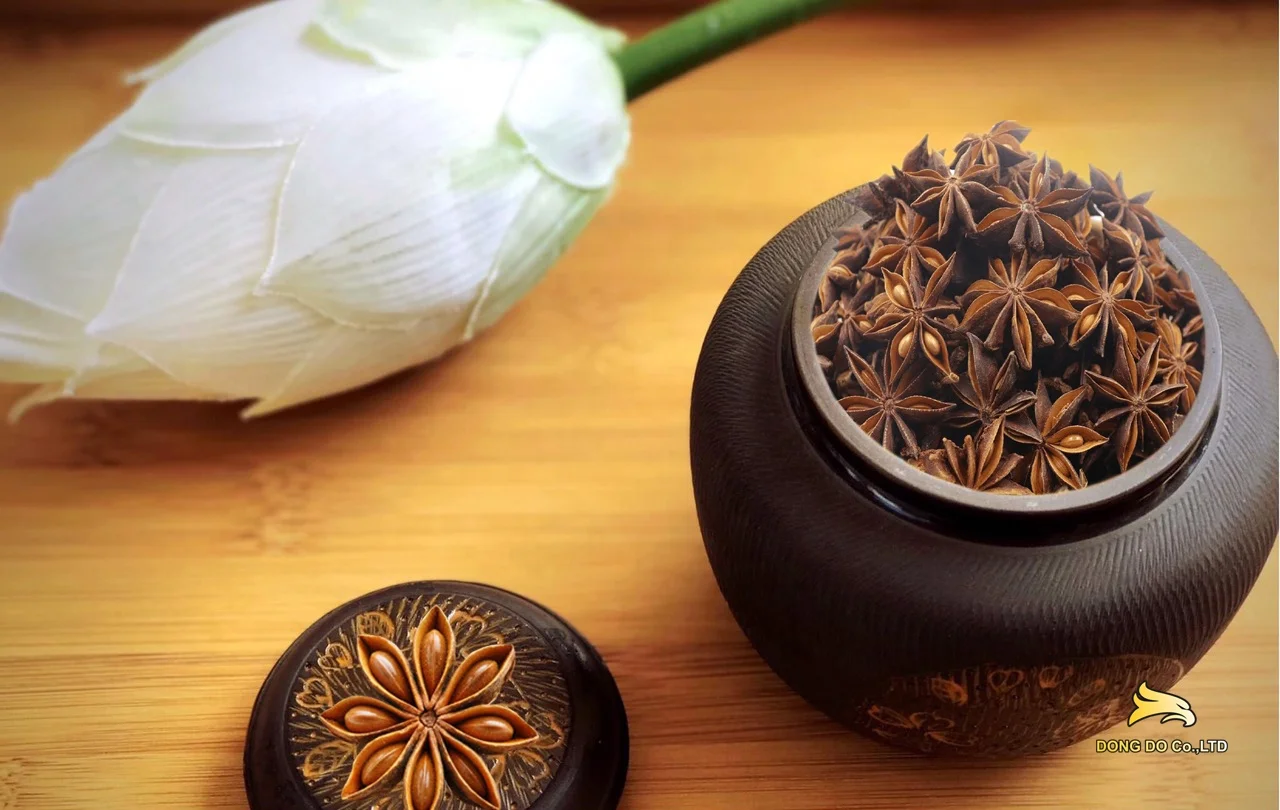 Cheap price Star anise origin Vietnam dried pepper single spices & herbs star anise seed star anise powder