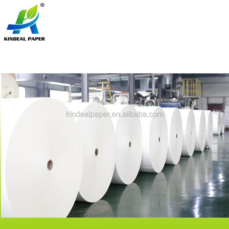 Pla coated paper for paper cup