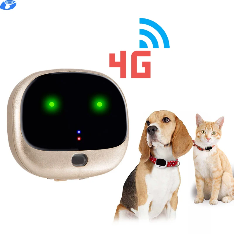 4G Pet GPS tracker collar made in China GPS tracker dog cat locator GPS tracking realtime mini tracker