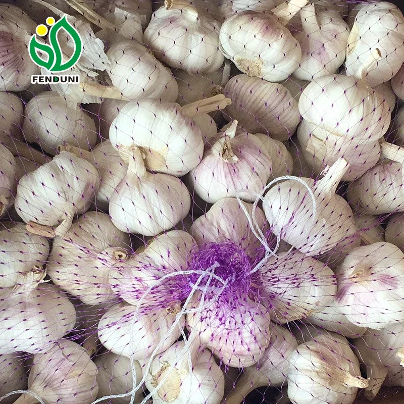 China/Chinese Good Garlic for Mali market 10kg/box 50mm/55mm