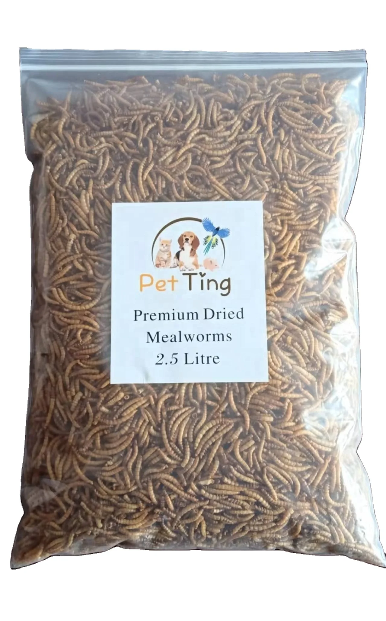 2022 Sale Wholesale best Poultry Animal Chicken feed mealworms